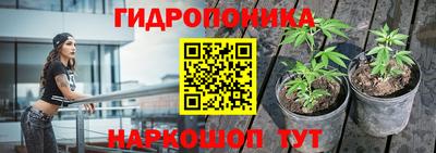 стаф Будённовск