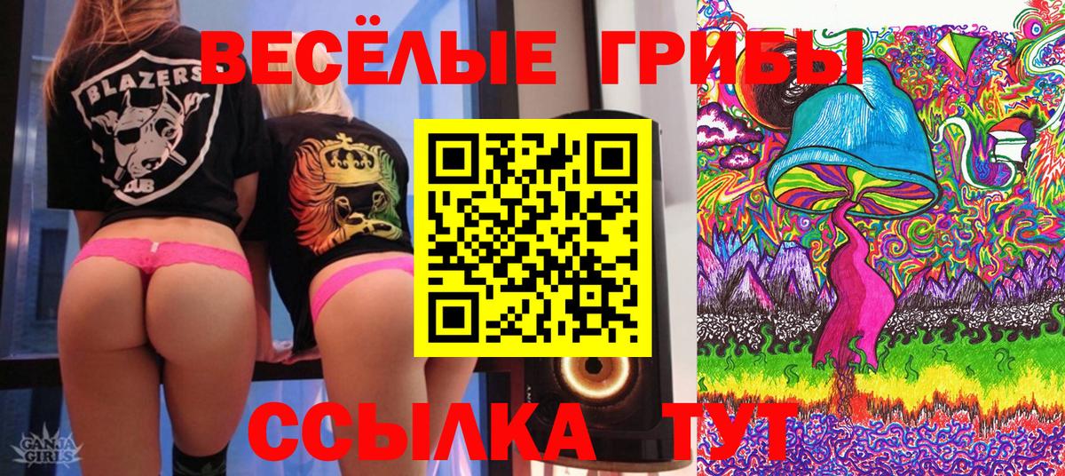 Галлюциногенные грибы ЛСД  Вход с VPN  Новочеркасск 